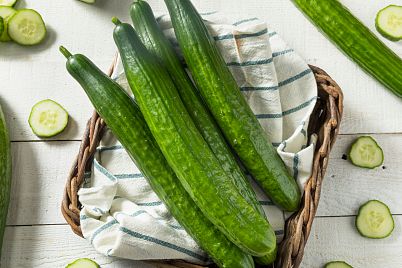 Salátová okurka – výtečná zelenina pro zdraví, štíhlou linii a krásnou pleť