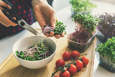 Microgreens - maximum zdraví a chuti