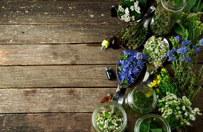 Bylinky pro krásu zahrady i zdraví na talíři