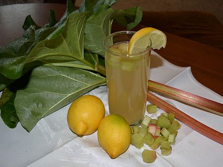 Rebarborová limonáda