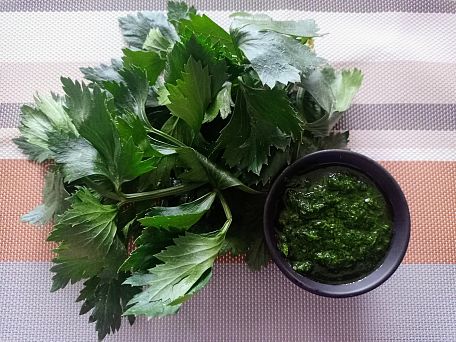 Rychlé celerové pesto